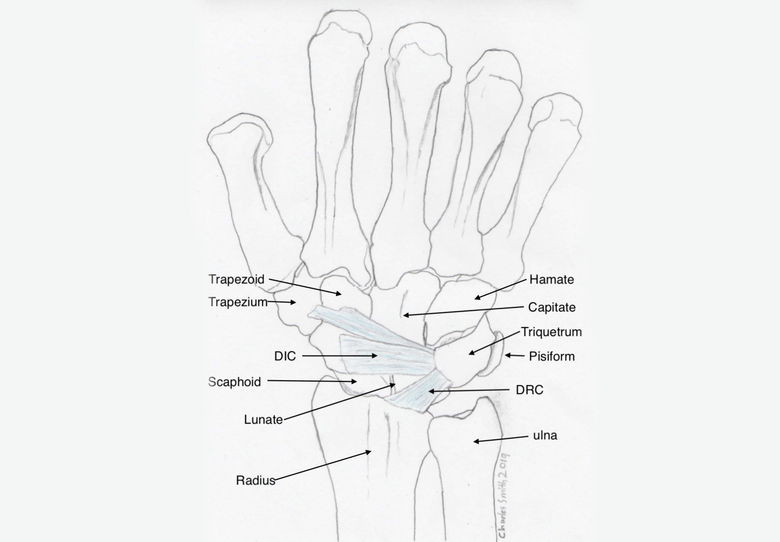 Wrist instability / ligament deficiency – Dr Nicholas Smith