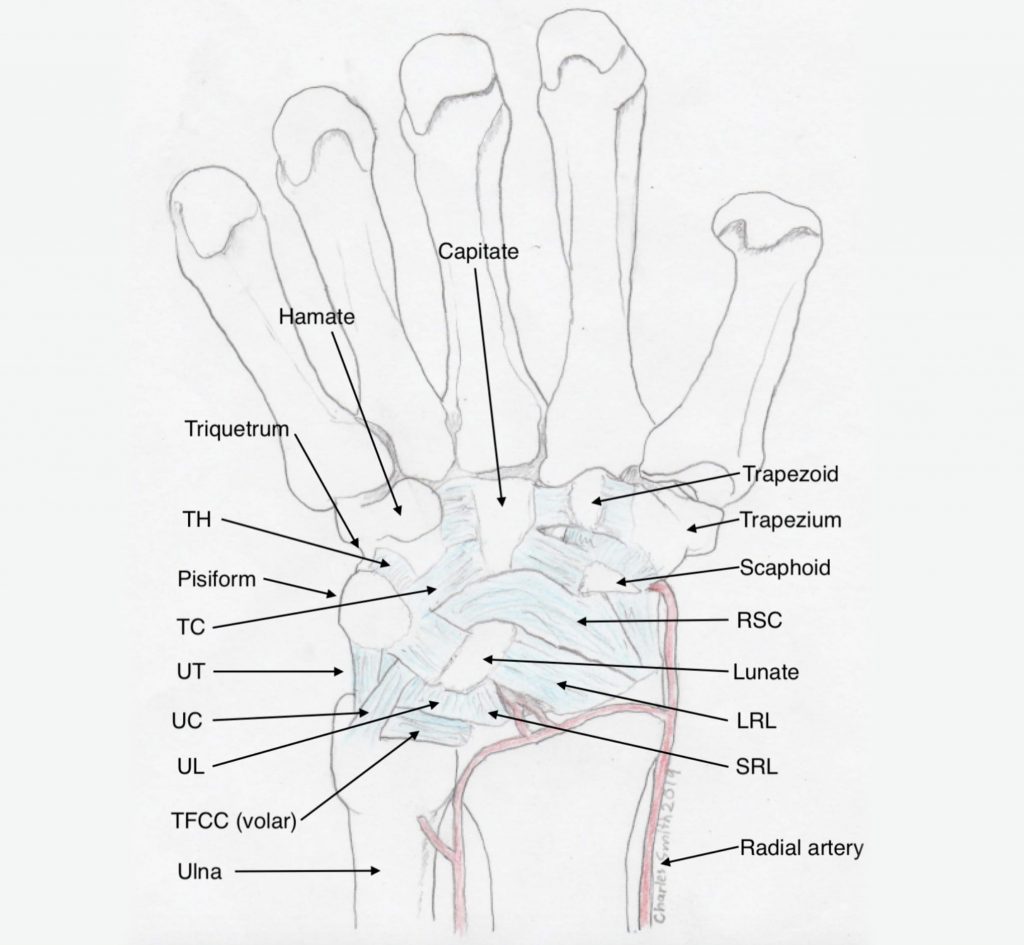 TFCC tears / DRUJ instability - Dr Nicholas Smith